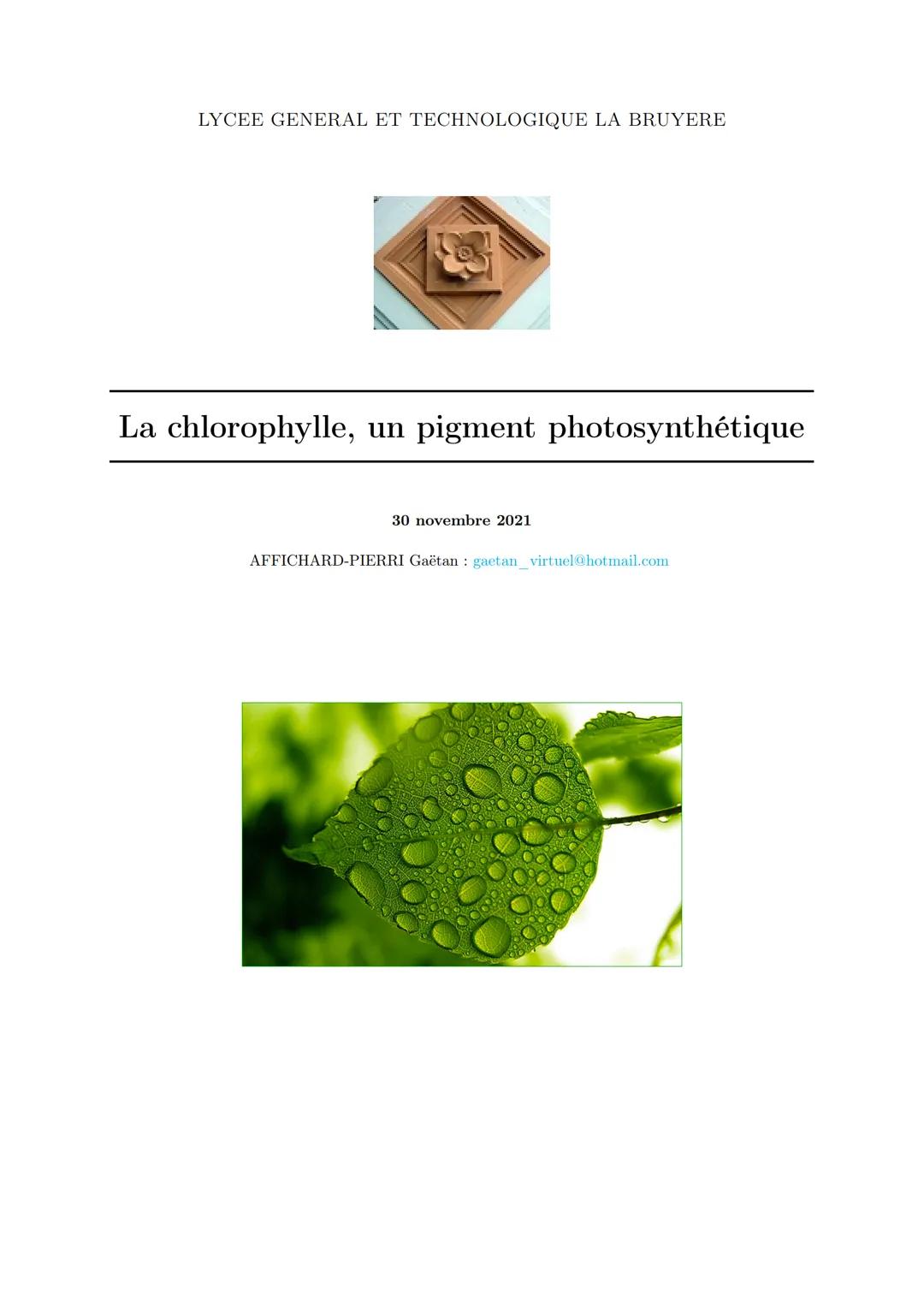 LYCEE GENERAL ET TECHNOLOGIQUE LA BRUYERE

La chlorophylle, un pigment photosynthétique

30 novembre 2021

AFFICHARD-PIERRI Gaëtan: gaetan_v