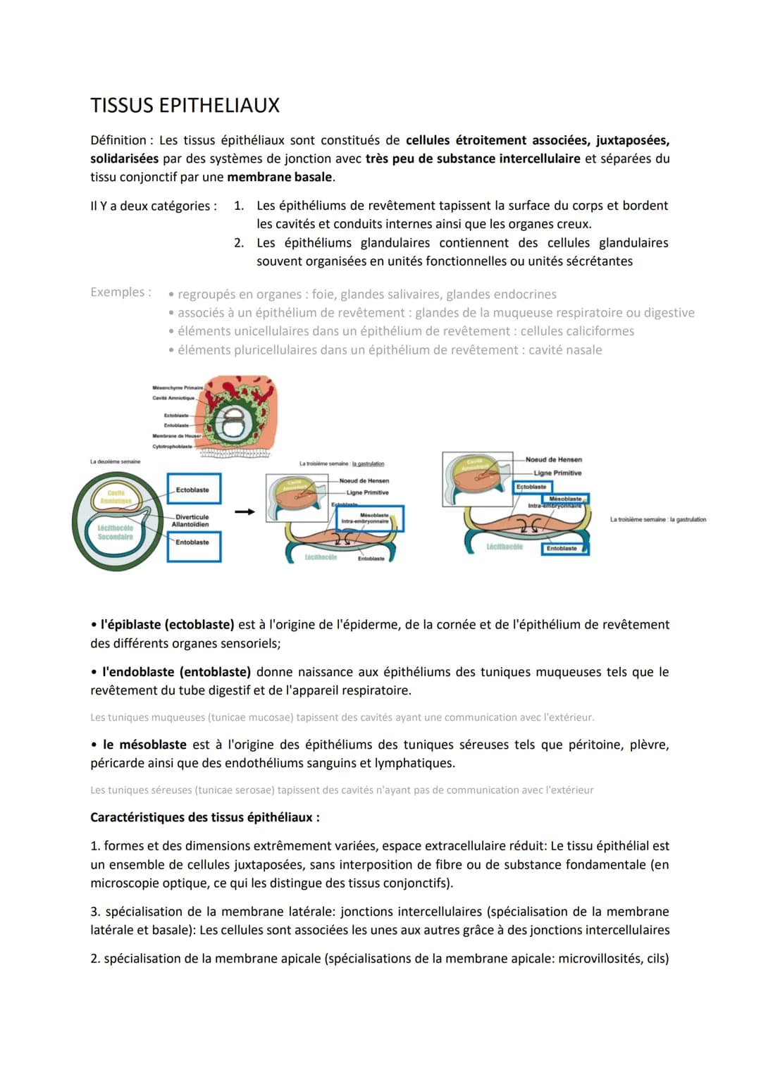 TISSUS EPITHELIAUX
Définition: Les tissus épithéliaux sont constitués de cellules étroitement associées, juxtaposées,
solidarisées par des s
