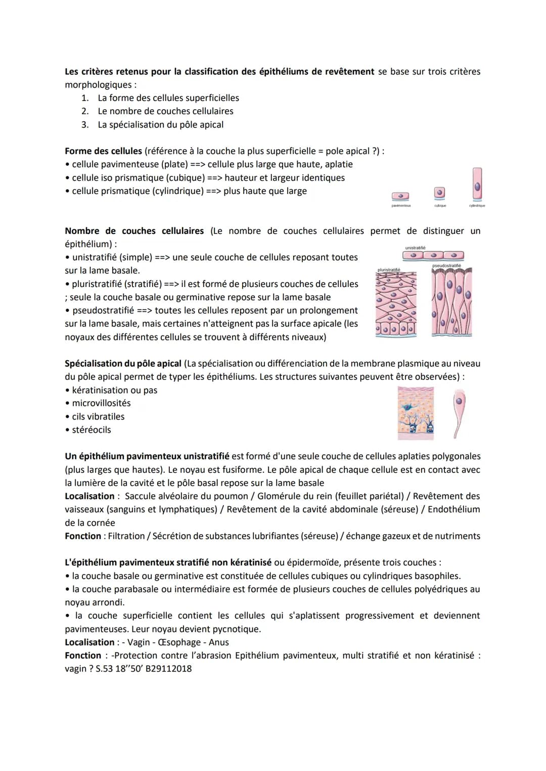 TISSUS EPITHELIAUX
Définition: Les tissus épithéliaux sont constitués de cellules étroitement associées, juxtaposées,
solidarisées par des s
