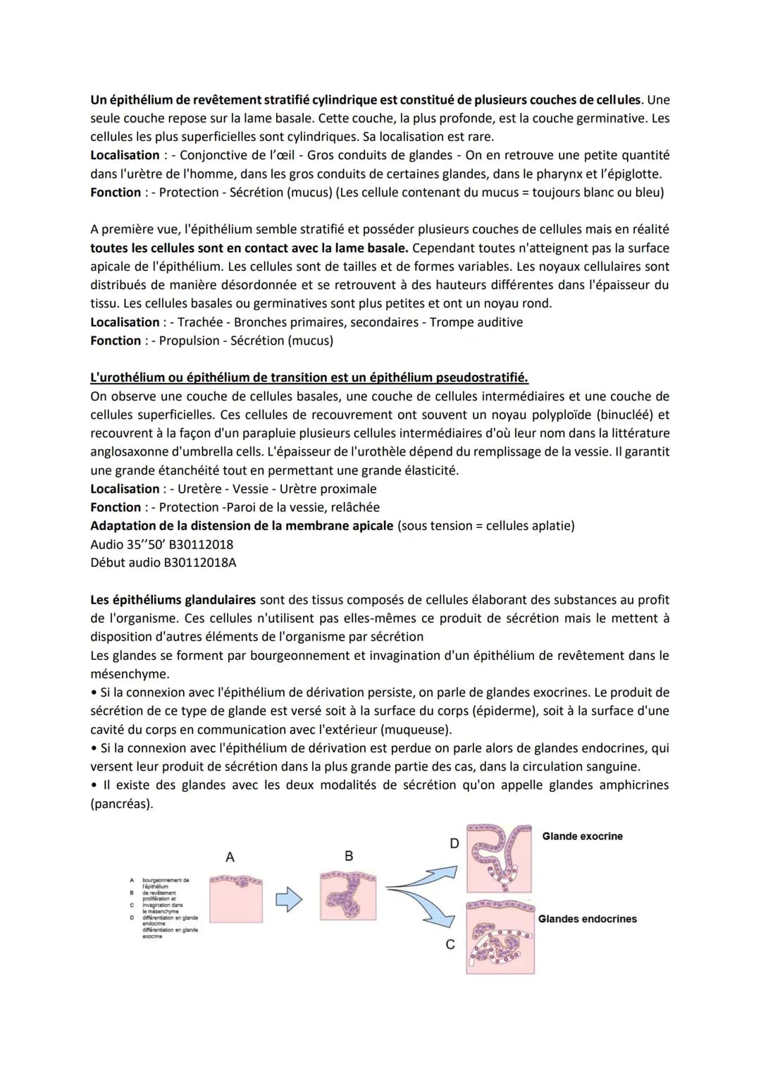 TISSUS EPITHELIAUX
Définition: Les tissus épithéliaux sont constitués de cellules étroitement associées, juxtaposées,
solidarisées par des s