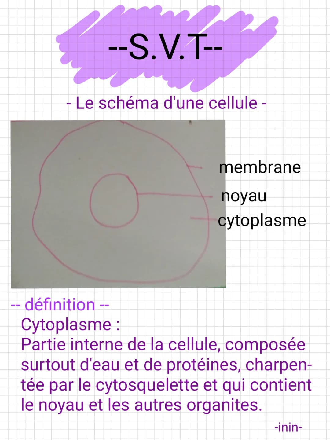 Schéma d'une cellule: végétale, animale, humaine - Rôles du Cytoplasme et organites
