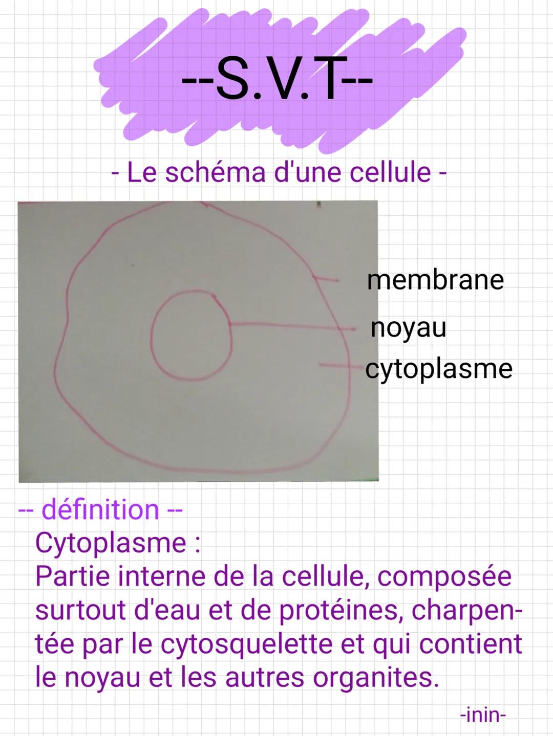 --S.V.T--
- Le schéma d'une cellule -
-- définition --
Cytoplasme :
membrane
noyau
cytoplasme
Partie interne de la cellule, composée
surtout