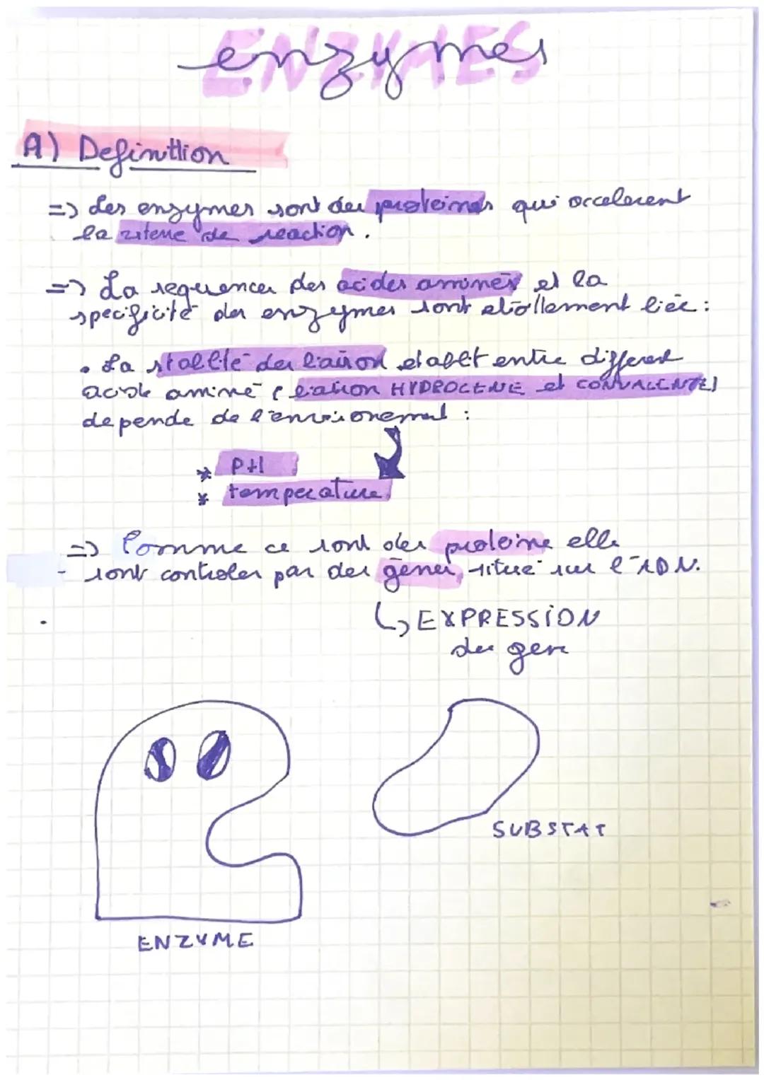 Comment les Enzymes Fonctionnent : Site Actif et Mutations