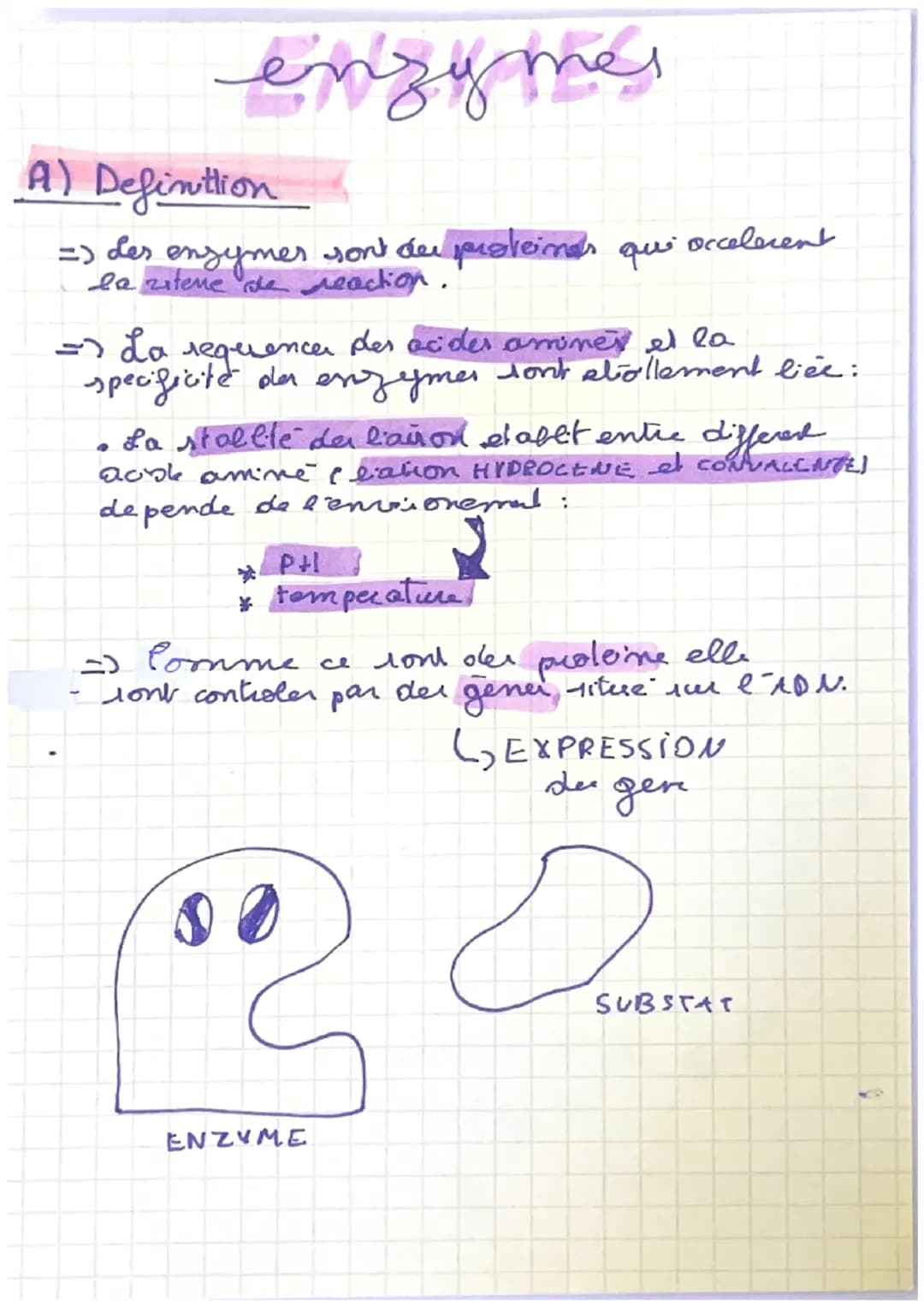 enzymes
A) Definition
=> Les enzymer sont des proteines que accelerent
la ritene de reaction.
=> La
des acides amines et la
specificite der 