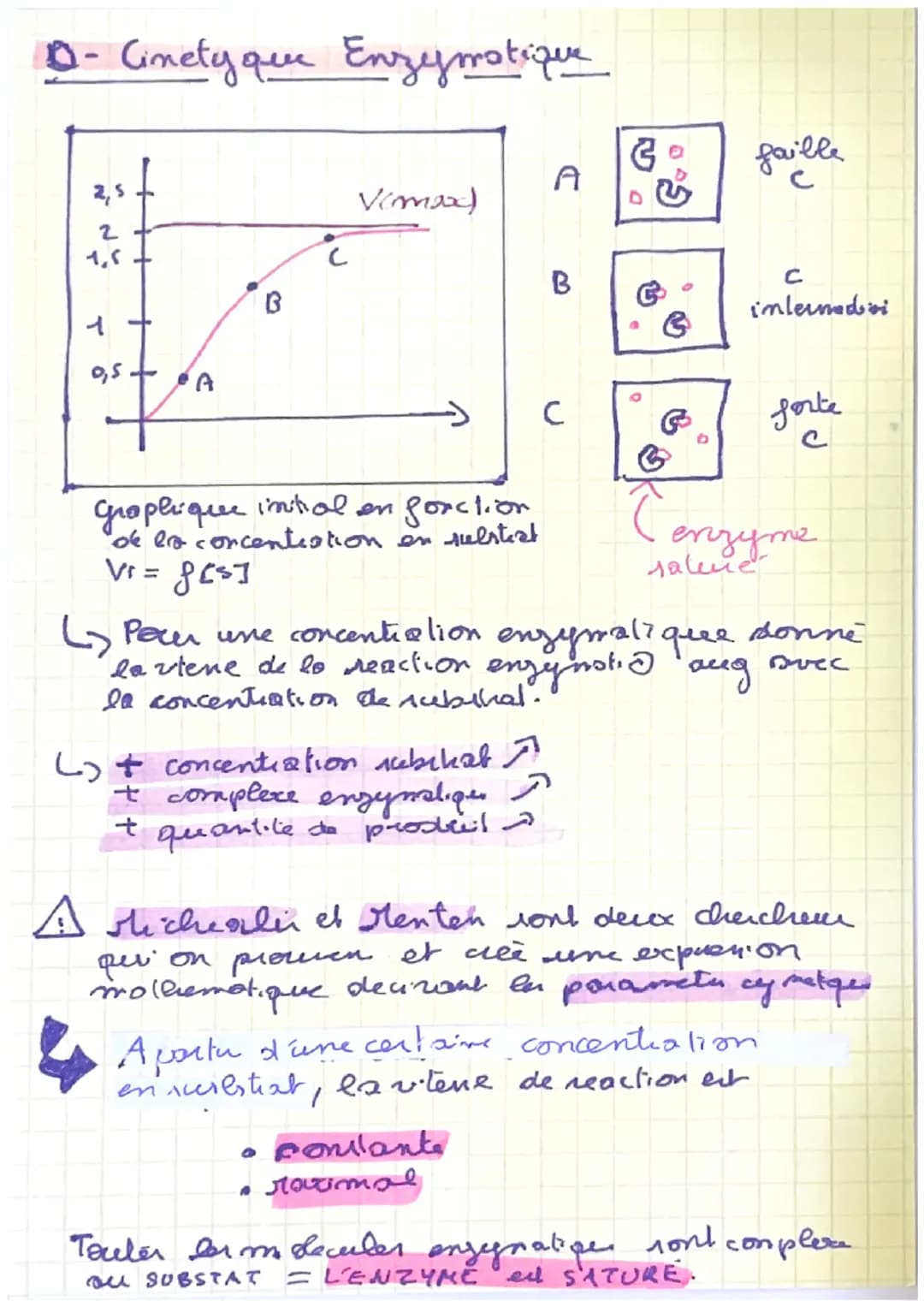 enzymes
A) Definition
=> Les enzymer sont des proteines que accelerent
la ritene de reaction.
=> La
des acides amines et la
specificite der 