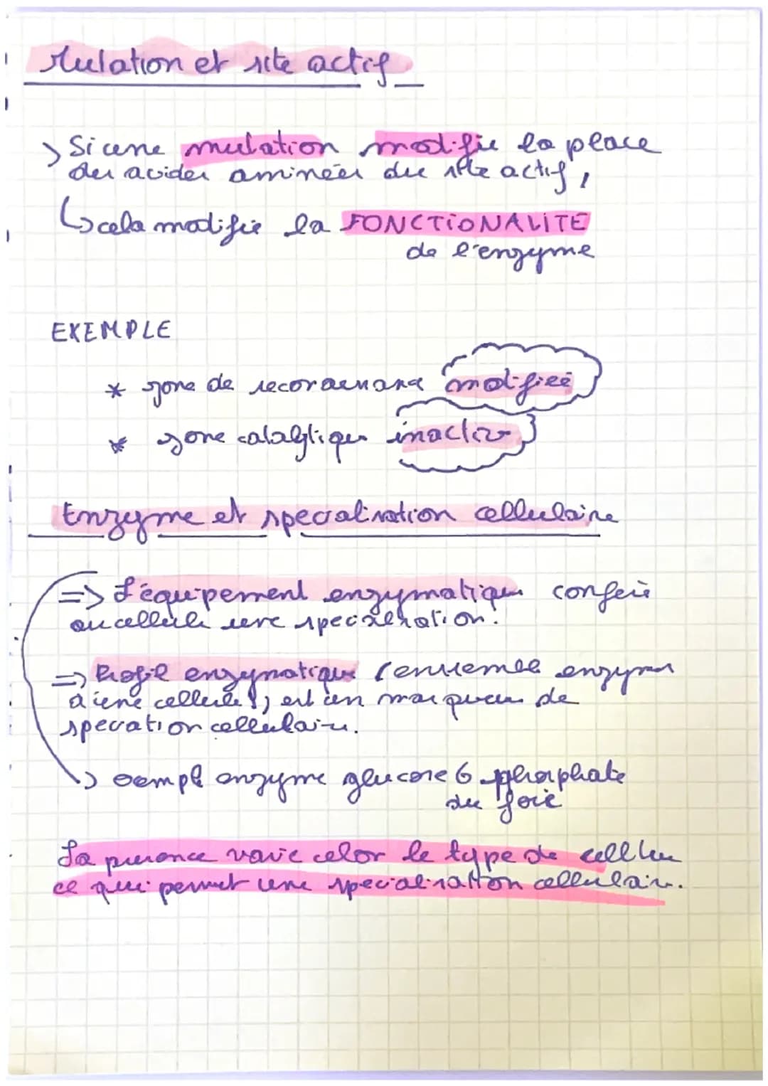 enzymes
A) Definition
=> Les enzymer sont des proteines que accelerent
la ritene de reaction.
=> La
des acides amines et la
specificite der 