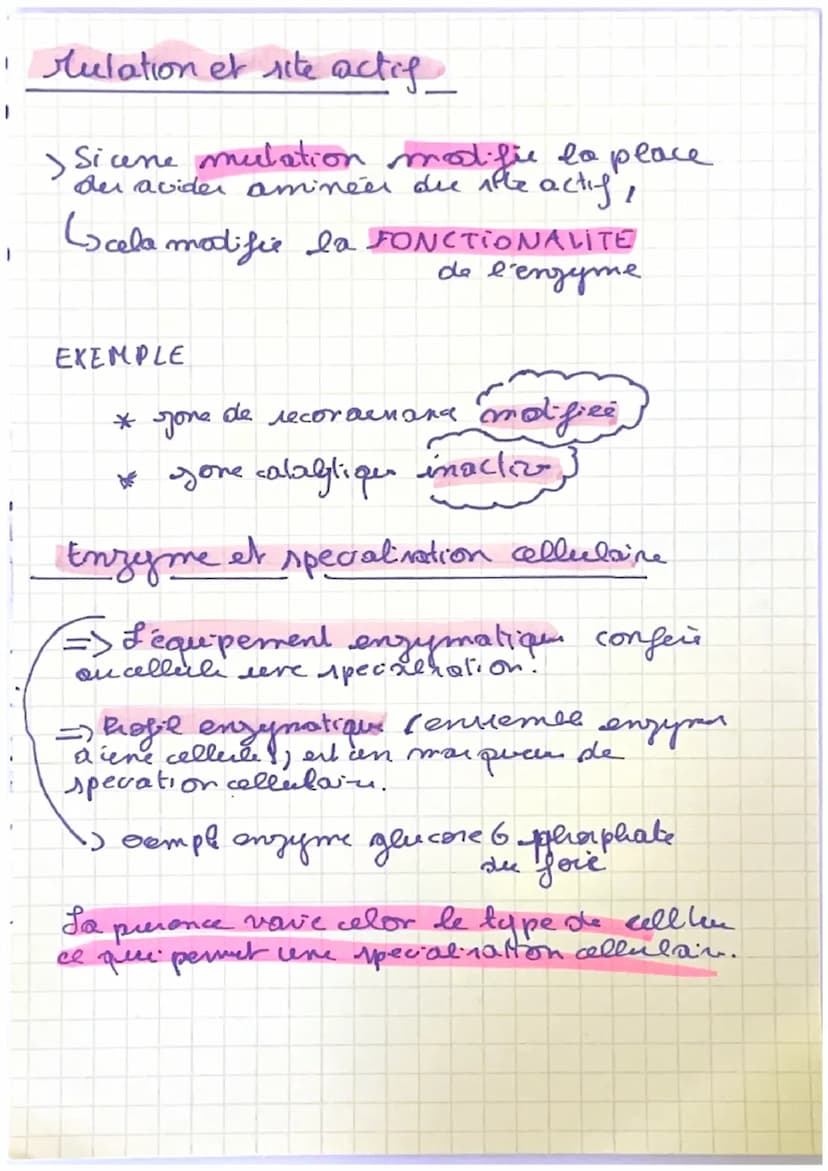 enzymes
A) Definition
=> Les enzymer sont des proteines que accelerent
la ritene de reaction.
=> La
des acides amines et la
specificite der 