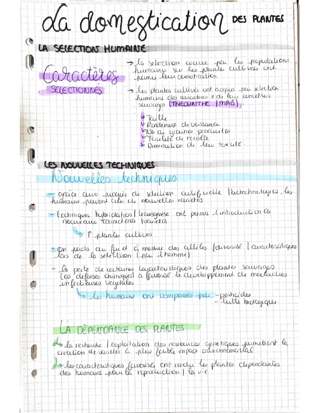 Fiche SVT terminale « domestication des plantes  »
