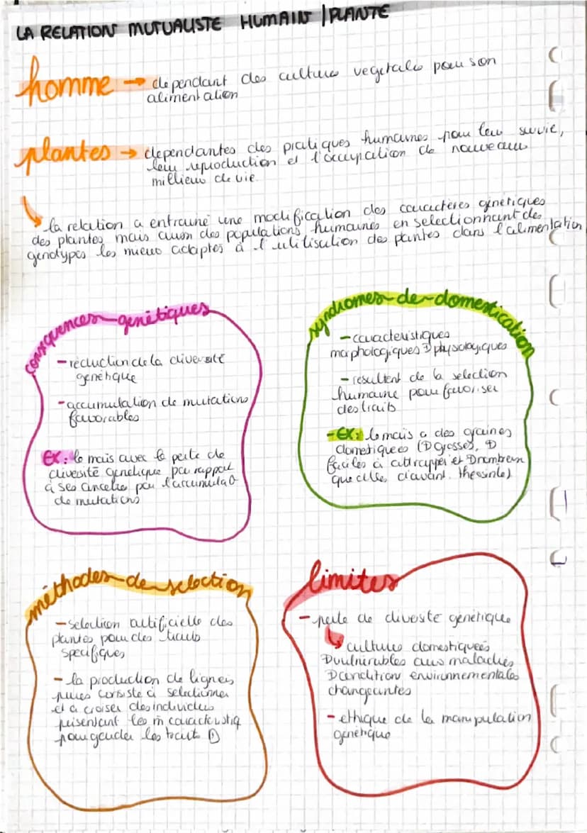 da domestication
LA SELECTION HUMAINE
Caractères
SELECTIONNES
DES PLANTES
→la selection evercée par les populations
humames sur les plantes 