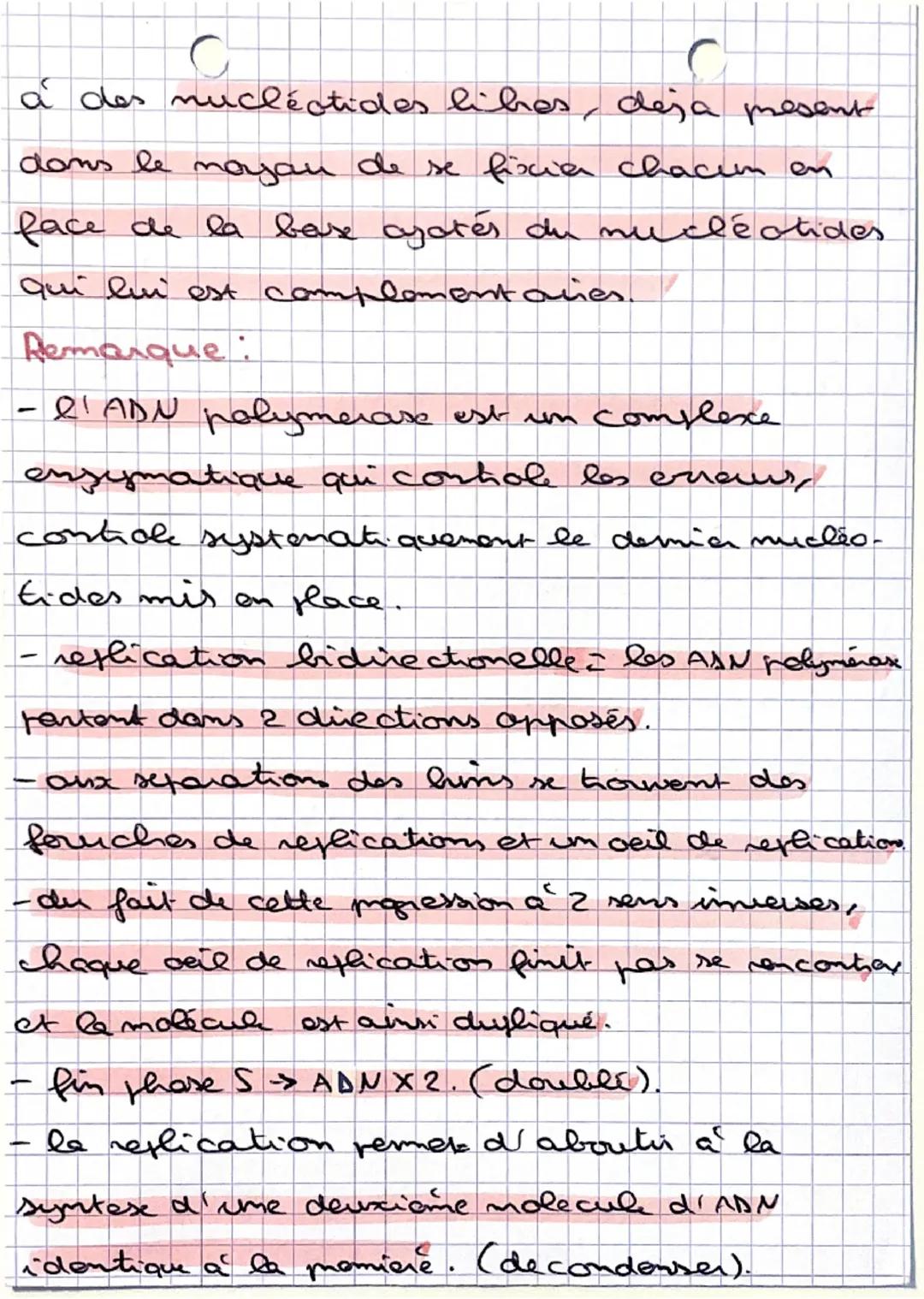 chap1. CSV
La Réplication:
-
se deroule dans le moyaux fendant
l'intershare plus mexisement en phase S.
- basés sur les mopriétés de la molé