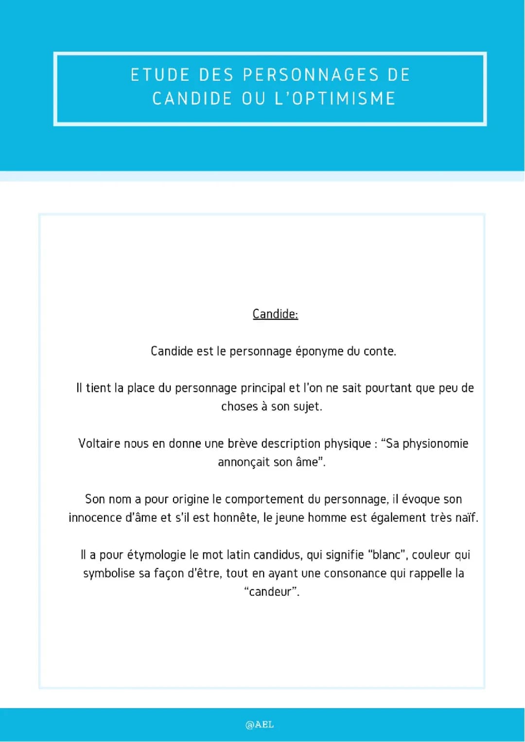 Les Personnages et Thèmes de Candide PDF - Résumé et Analyse Faciles