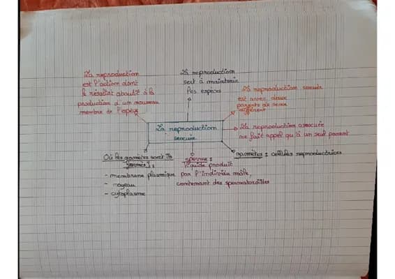 Know Carte memo reproduction sexuée thumbnail