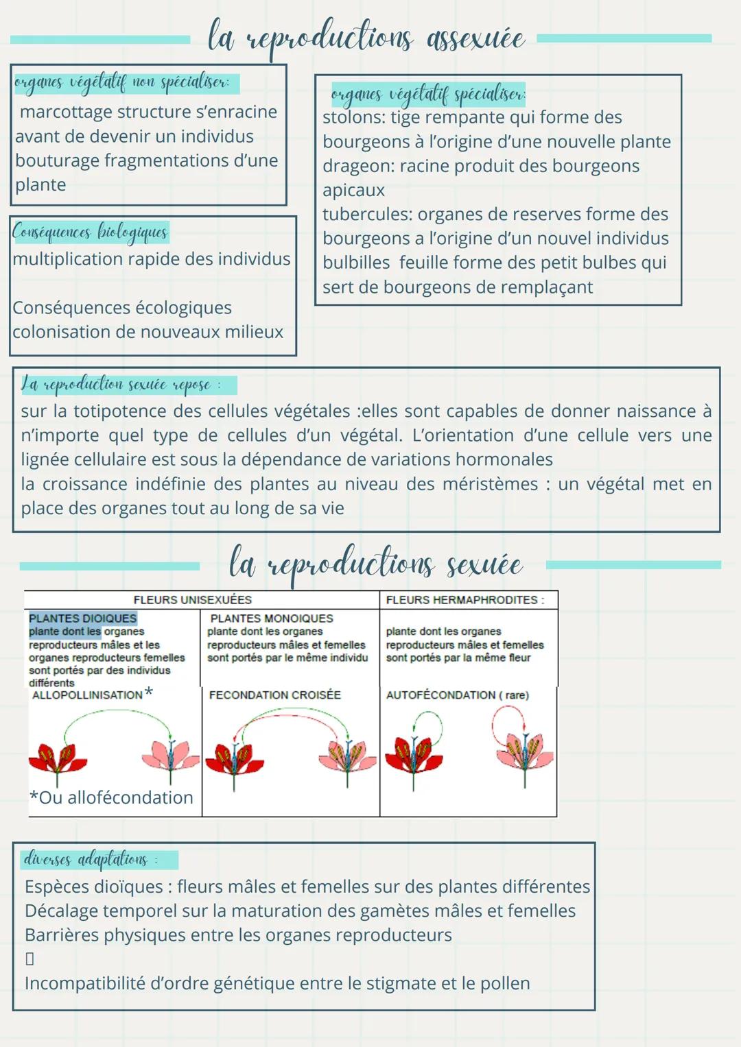# Ma fiche

la fécondation de révision de Wt

+ la reproduction

définitions importantes

- Les Angiospermes: sont des végétaux qui portent 