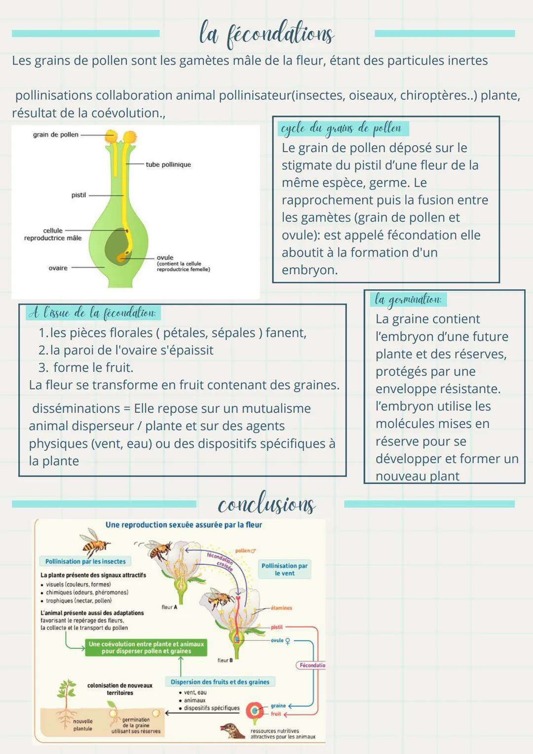 # Ma fiche

la fécondation de révision de Wt

+ la reproduction

définitions importantes

- Les Angiospermes: sont des végétaux qui portent 