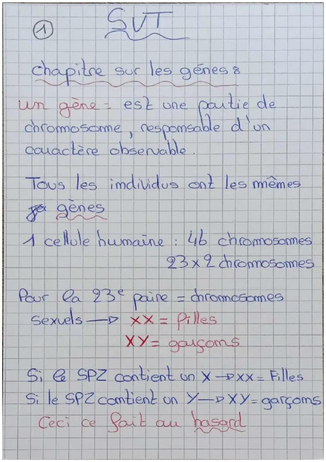 les gènes et les allèles 