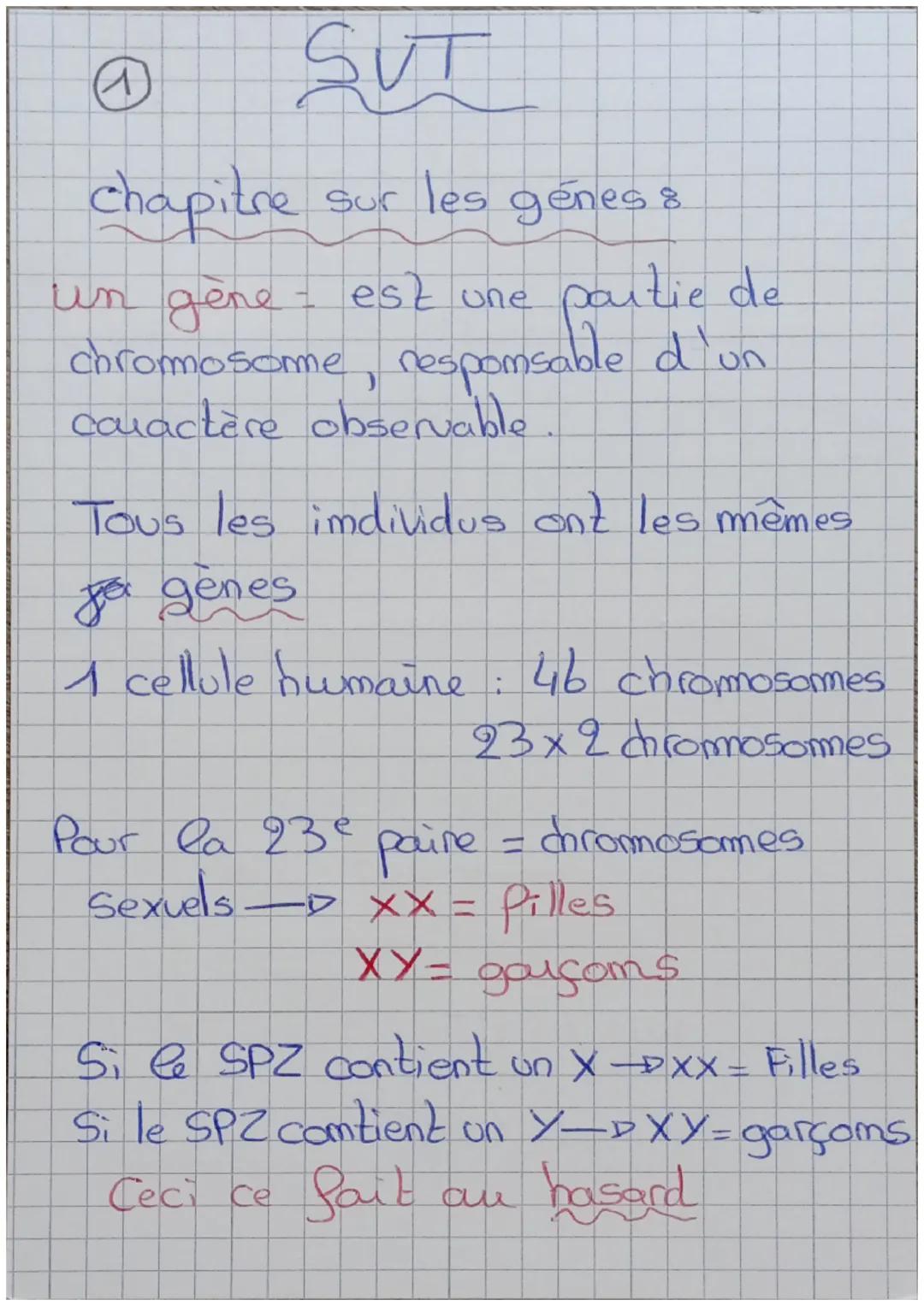 Sut
sur les génes 8
@
chapitre
un gene
деле
est une
partie de
chromosome, responsable d'un.
colactère observable
Tous les individus ont les 