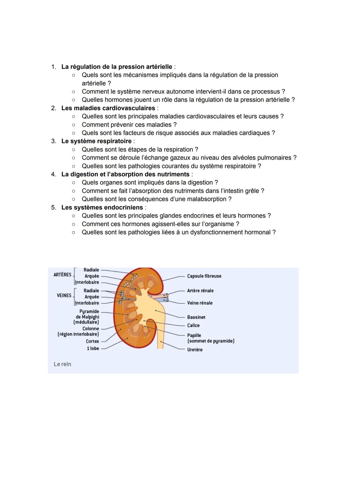 1. La régulation de la pression artérielle :
○ Quels sont les mécanismes impliqués dans la régulation de la pression
artérielle ?
о Comment 