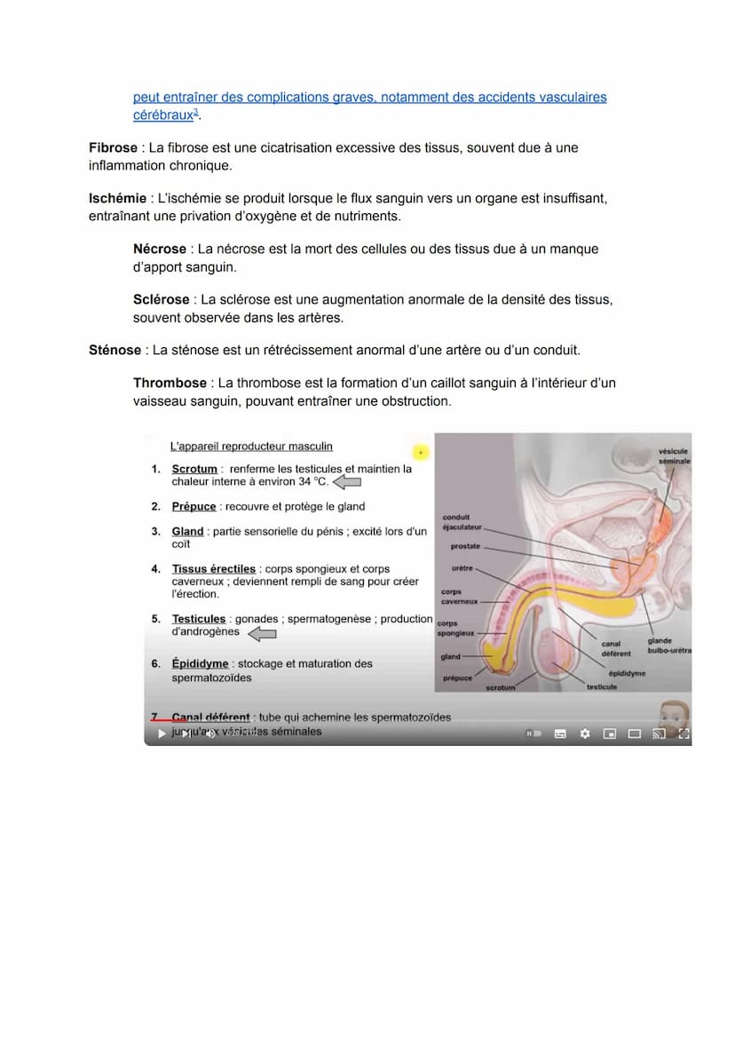 1. La régulation de la pression artérielle :
○ Quels sont les mécanismes impliqués dans la régulation de la pression
artérielle ?
о Comment 