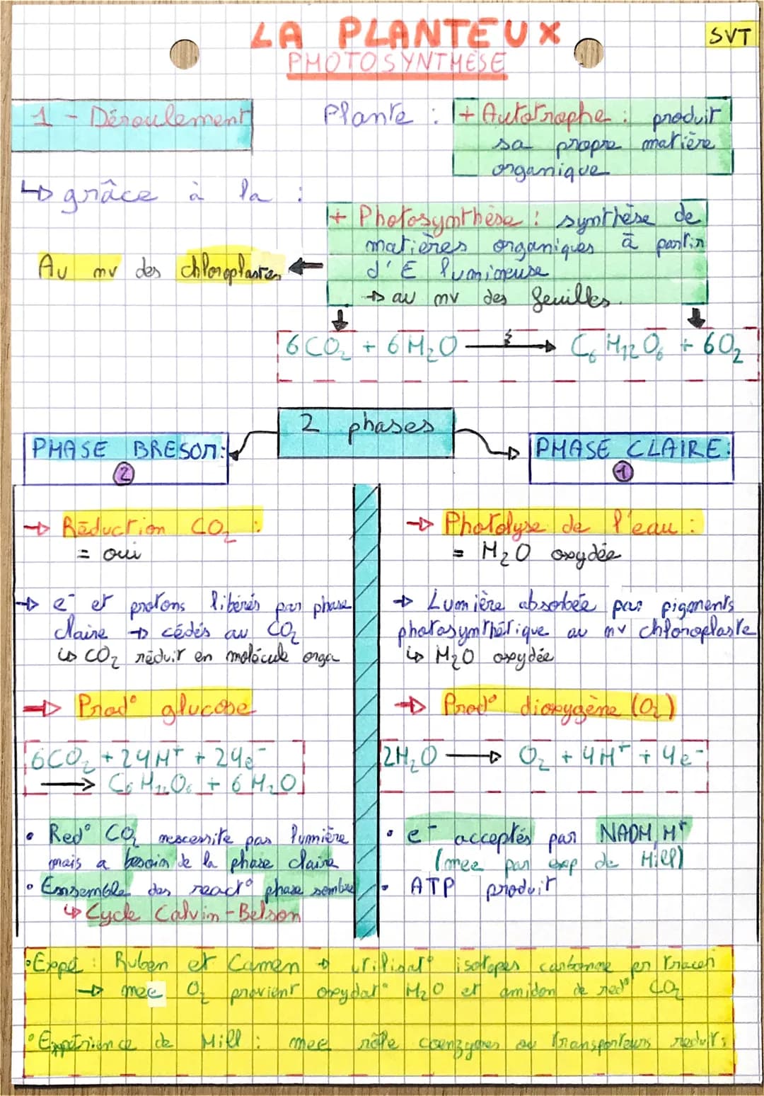 1 - Déroulement
4 grâce à
PHASE BRESON:
.
O
40
LA PLANTE UX
PHOTOSYNTHESE
la
Reduction CO₂
= oui
Au mu des chloroplantes ←
• Experience de
-