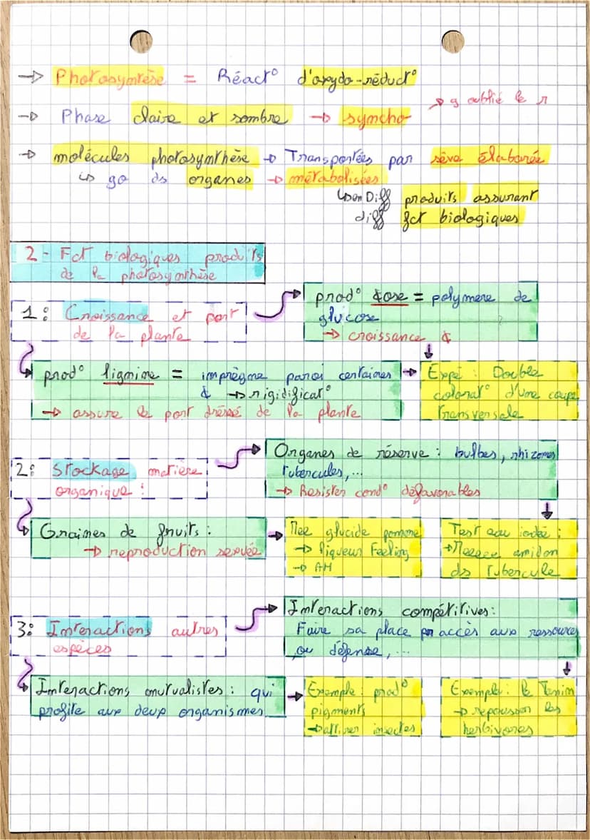 1 - Déroulement
4 grâce à
PHASE BRESON:
.
O
40
LA PLANTE UX
PHOTOSYNTHESE
la
Reduction CO₂
= oui
Au mu des chloroplantes ←
• Experience de
-
