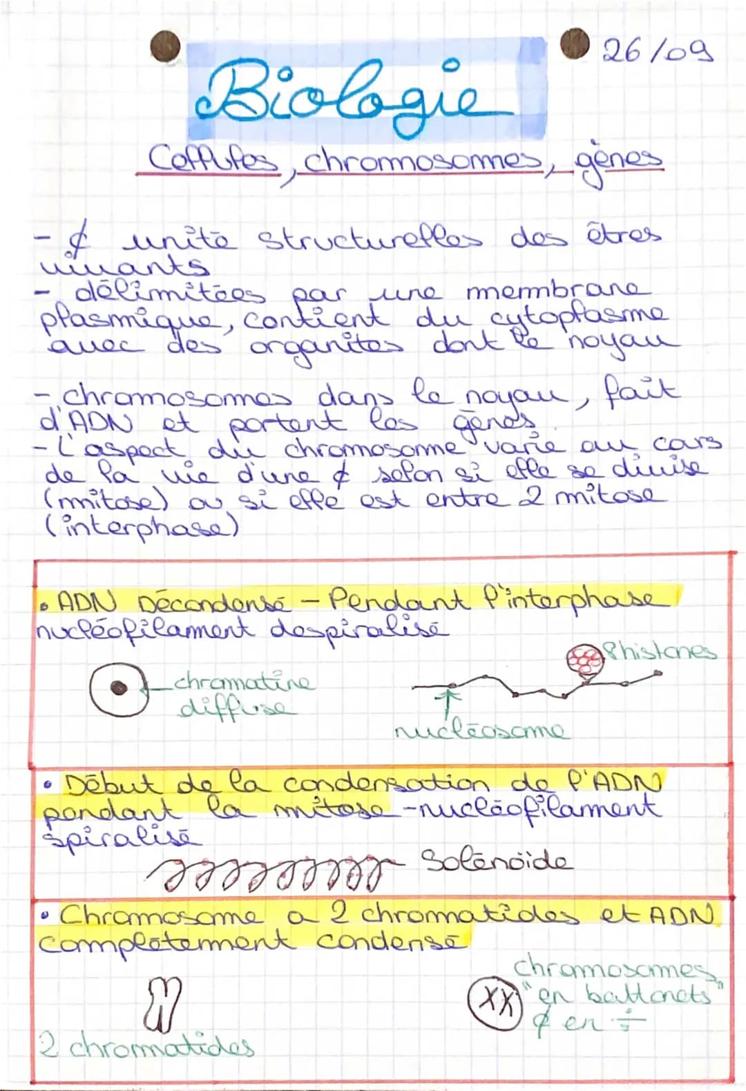 La cellule : unité structurale et fonctionnelle du vivant