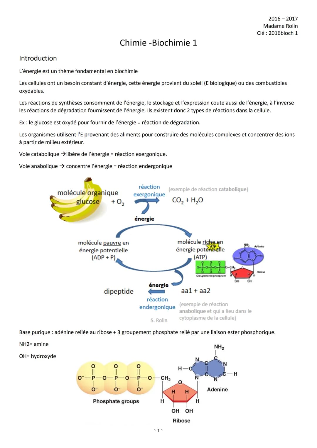 1)
2)
3)
Organisation de l'intro de Biochimie
Introduction (p. 1)
Les constituants de la matière (p. 4)
2.1 L'atome (p. 4)
2.2 Les isotopes 