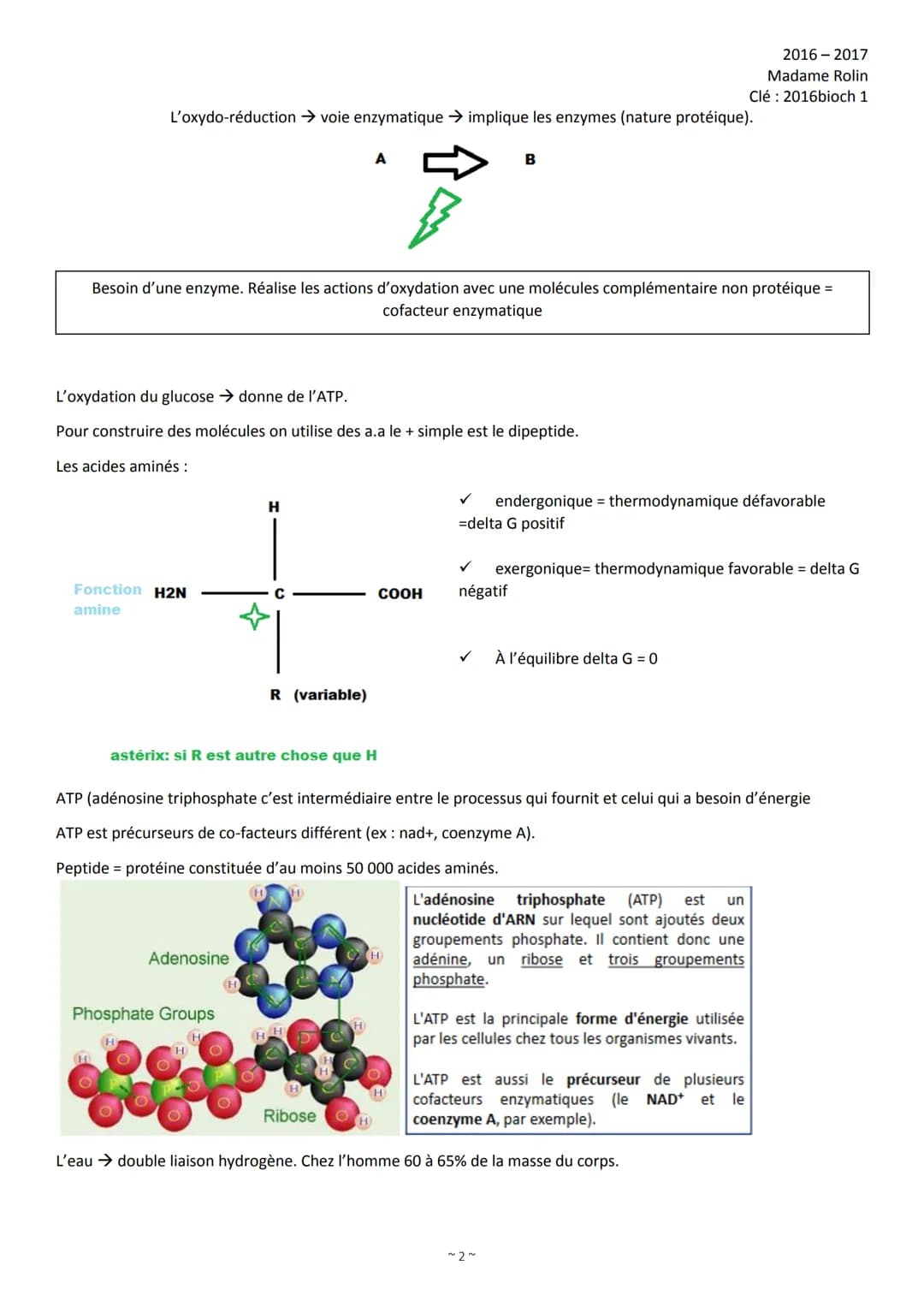 1)
2)
3)
Organisation de l'intro de Biochimie
Introduction (p. 1)
Les constituants de la matière (p. 4)
2.1 L'atome (p. 4)
2.2 Les isotopes 