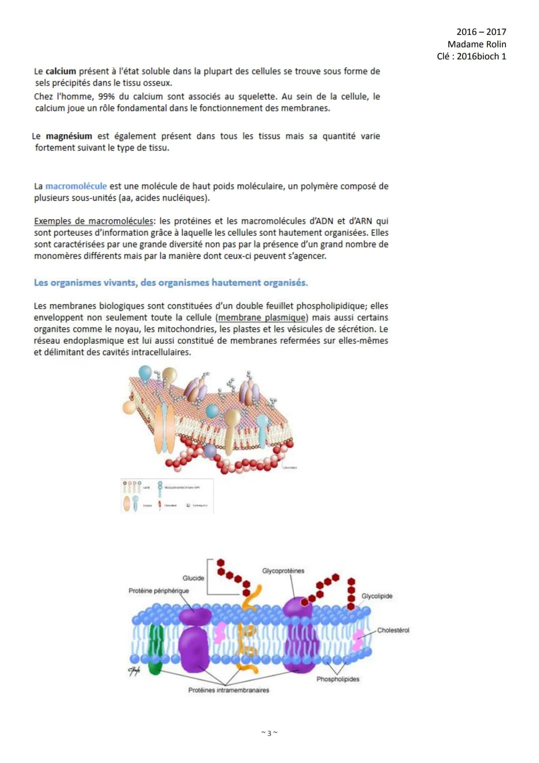 1)
2)
3)
Organisation de l'intro de Biochimie
Introduction (p. 1)
Les constituants de la matière (p. 4)
2.1 L'atome (p. 4)
2.2 Les isotopes 