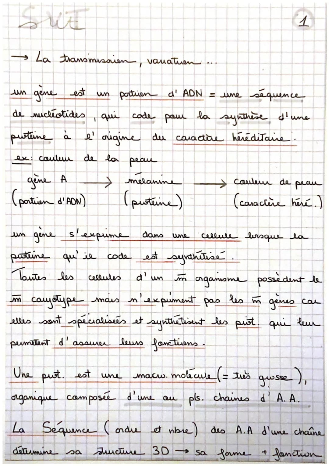 Sui
→ La transmission, varatuen
un gène est
de nucleotides.
proteine à
ex: cautem de la
un portien d' ADN = une
séquence
, qui code pour la 