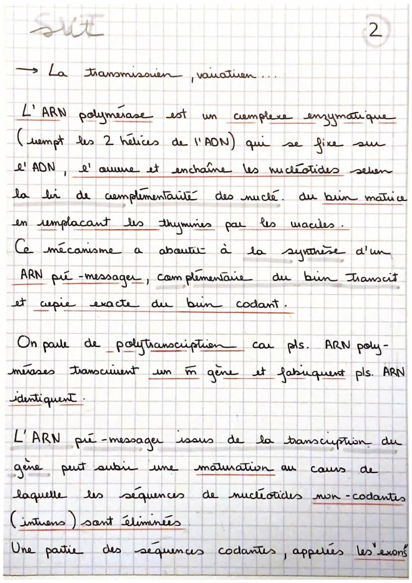 Sui
→ La transmission, varatuen
un gène est
de nucleotides.
proteine à
ex: cautem de la
un portien d' ADN = une
séquence
, qui code pour la 