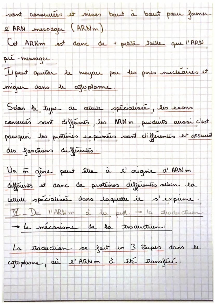 Sui
→ La transmission, varatuen
un gène est
de nucleotides.
proteine à
ex: cautem de la
un portien d' ADN = une
séquence
, qui code pour la 