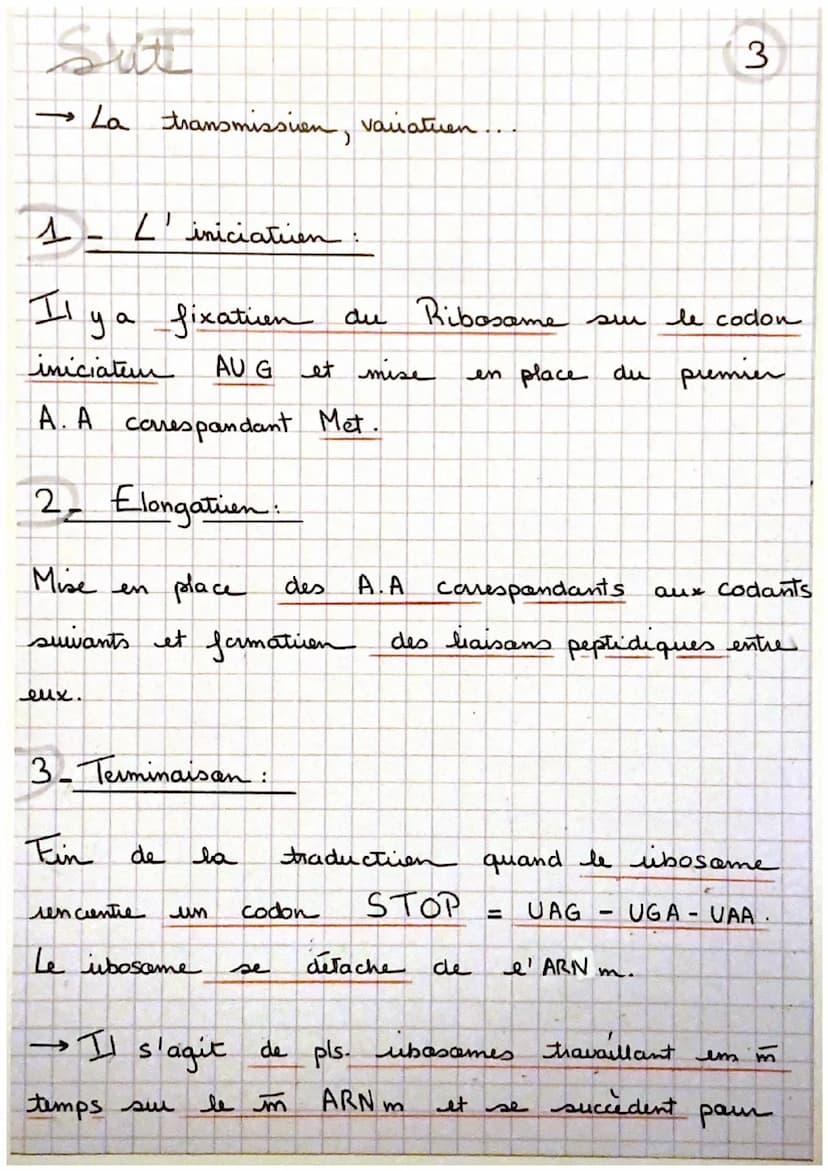 Sui
→ La transmission, varatuen
un gène est
de nucleotides.
proteine à
ex: cautem de la
un portien d' ADN = une
séquence
, qui code pour la 