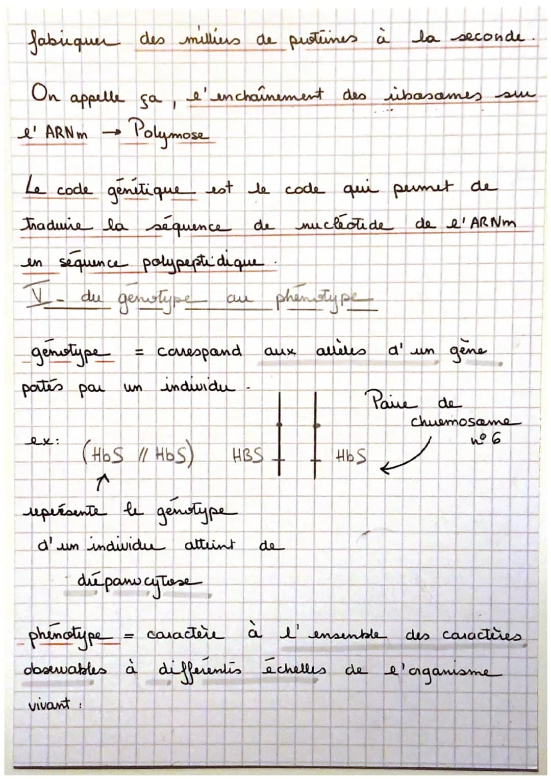 Sui
→ La transmission, varatuen
un gène est
de nucleotides.
proteine à
ex: cautem de la
un portien d' ADN = une
séquence
, qui code pour la 