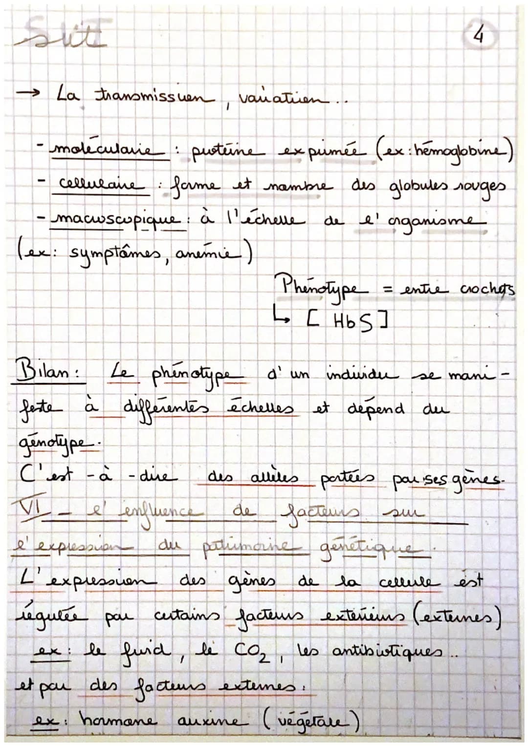 Sui
→ La transmission, varatuen
un gène est
de nucleotides.
proteine à
ex: cautem de la
un portien d' ADN = une
séquence
, qui code pour la 