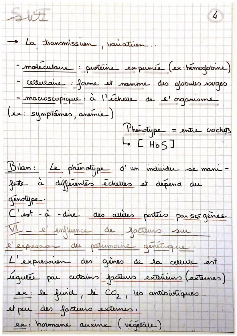 Sui
→ La transmission, varatuen
un gène est
de nucleotides.
proteine à
ex: cautem de la
un portien d' ADN = une
séquence
, qui code pour la 