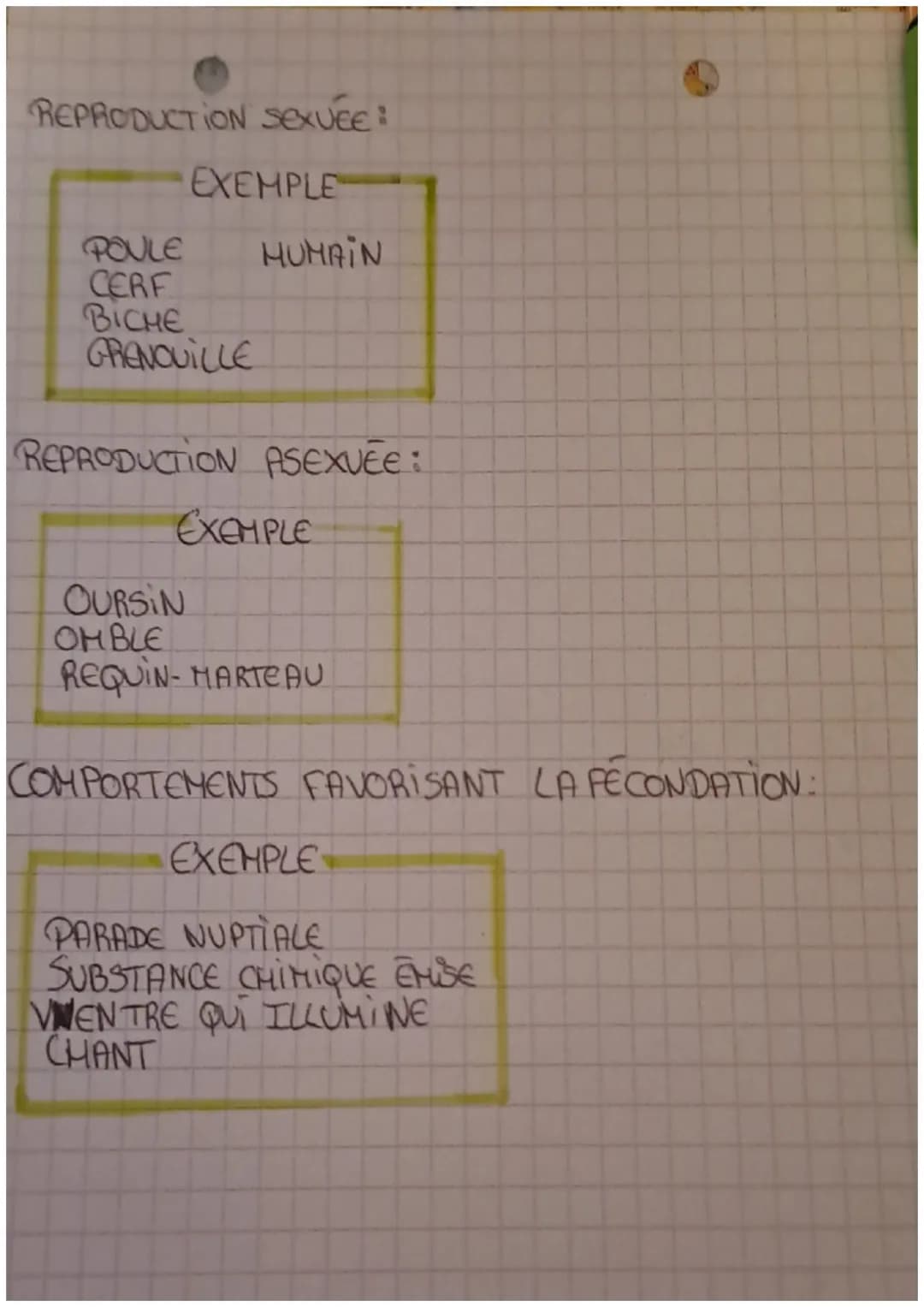 Sut
REPRODUCTION
SEXUEE:
FECONDATION c'est à dire union d'une cellule
reproductrice femelle l'OVULE avec une cellule
reproductrice mâle le S