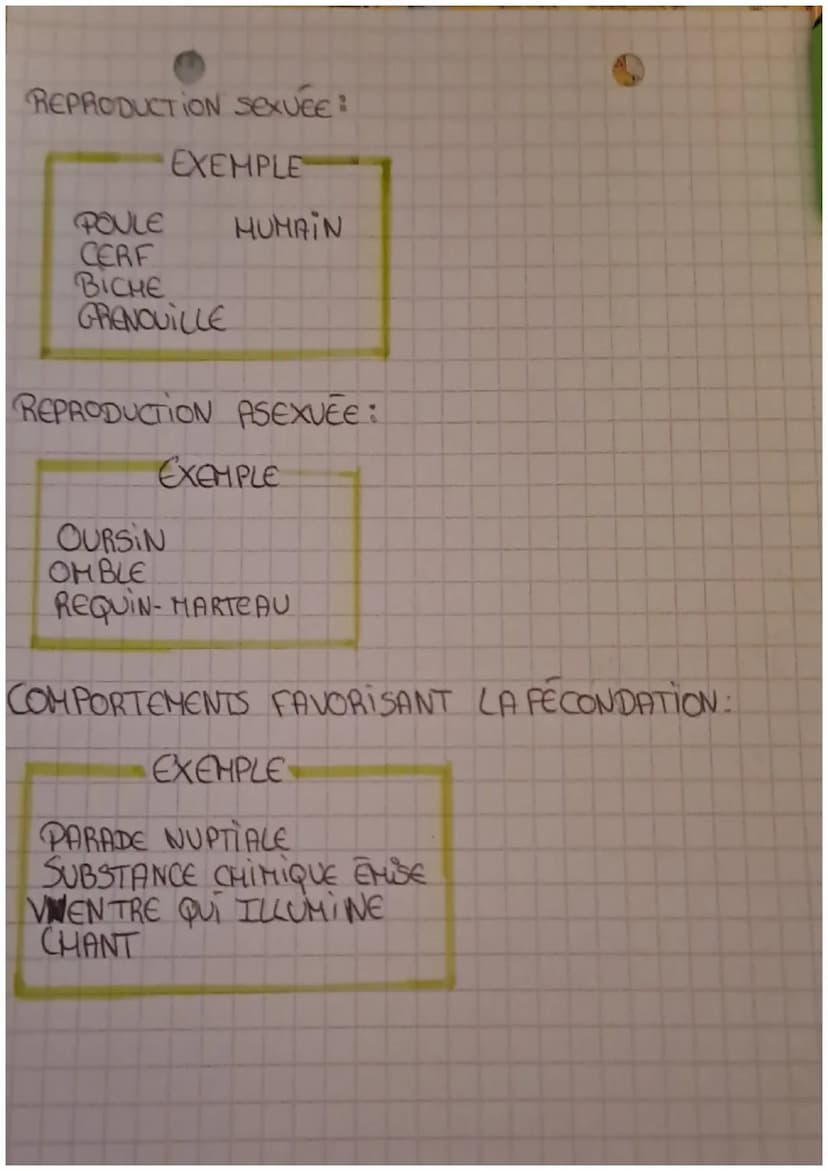 Sut
REPRODUCTION
SEXUEE:
FECONDATION c'est à dire union d'une cellule
reproductrice femelle l'OVULE avec une cellule
reproductrice mâle le S