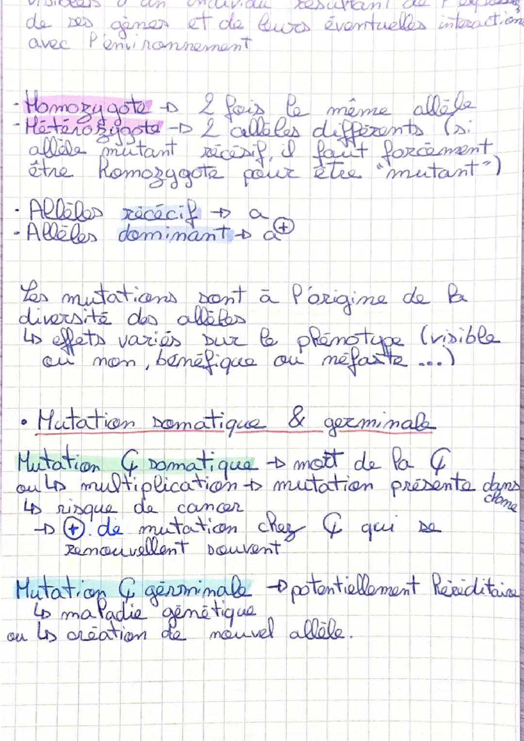 # Les Mutations

• Les differents types de mutation :

| Mutation |  |  | 
| ----------- | ----------- | ----------- |
| ponctuelle | perte 