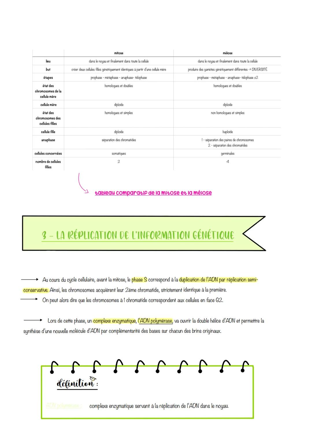  sciences de la vie et de lu
Ferre
Chapitre 1: Le CYCLE
cellulaire des eucaryotes
1- LA MITOSE : UNE REPRODUCTION CONFORME DE LA CELLULE
La 