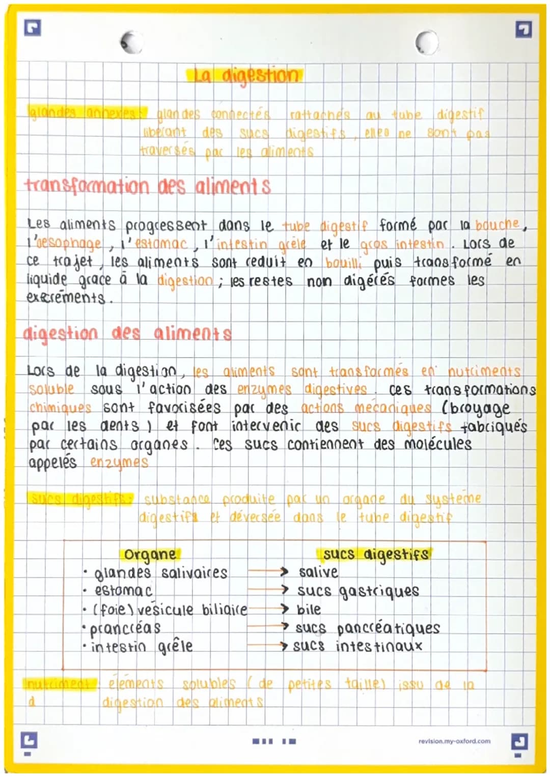L
La digestion
Igiandes annexes glandes connectés rattachés au tube digestif
liberant des sucs digestifs
elles ne sont pas
traversés par les