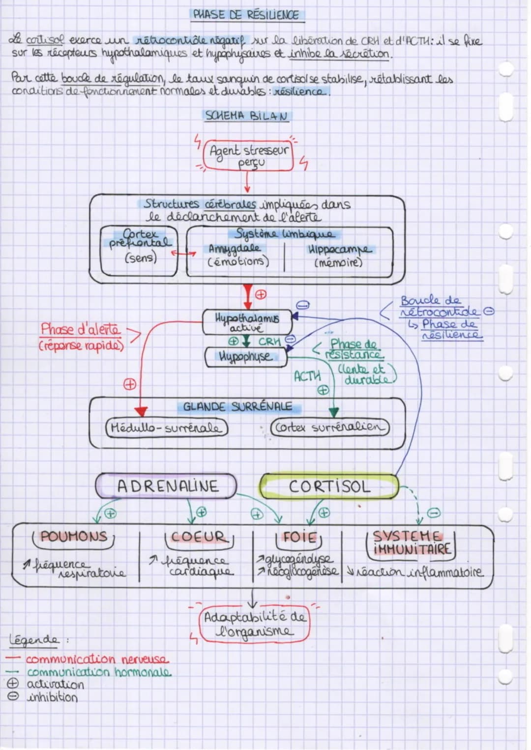 réponse de l'organisme face
awx agents stresseurs
Le stress aigu est un mécanisme d'adaptation de l'organisme face aux agents stresseurs
qui