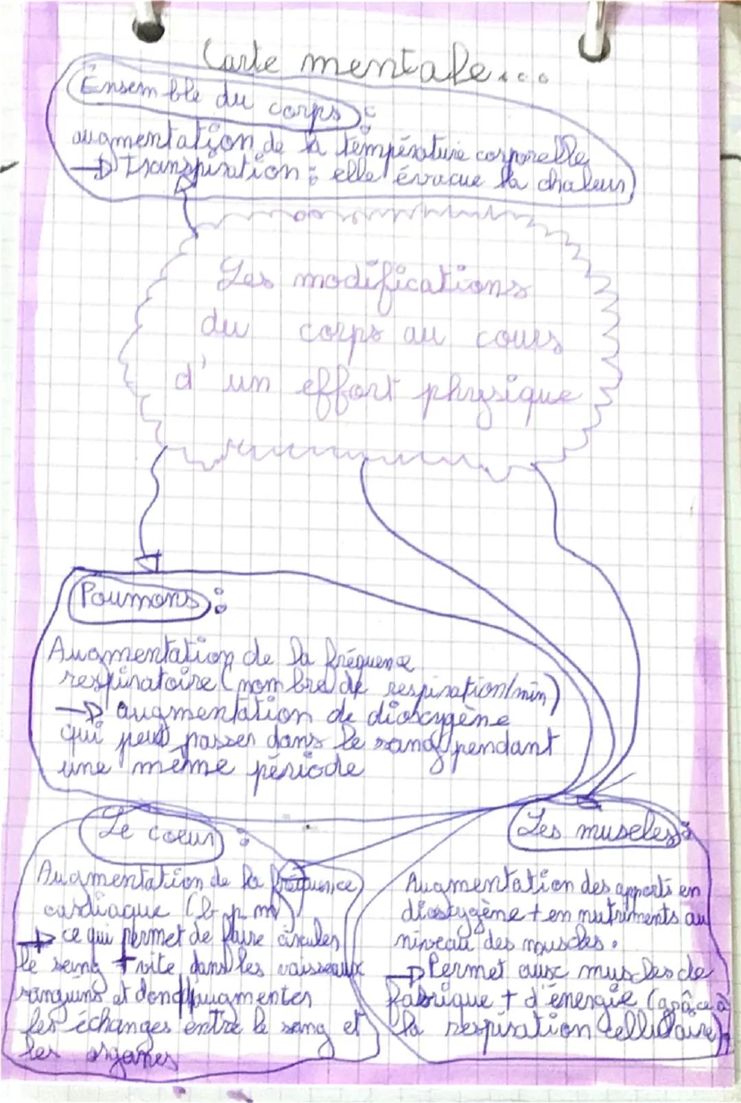 --- OCR Start ---
SVT
Le fonctionnement de
l'organisme lors d'un effort
musculaire
I La commande du mouvement
→Comment notre corps est mis e