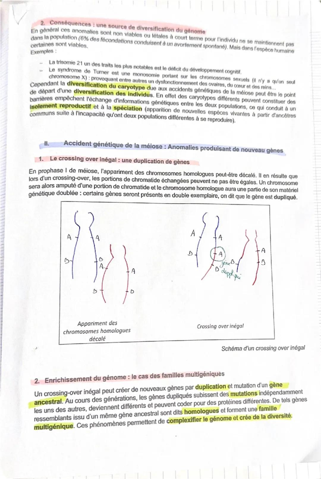 T1A C3: Les accidents génétiques de la mélose: de la variabilité des génomes à
l'évolution biologique
Le bon déroulement de l'alterance méio