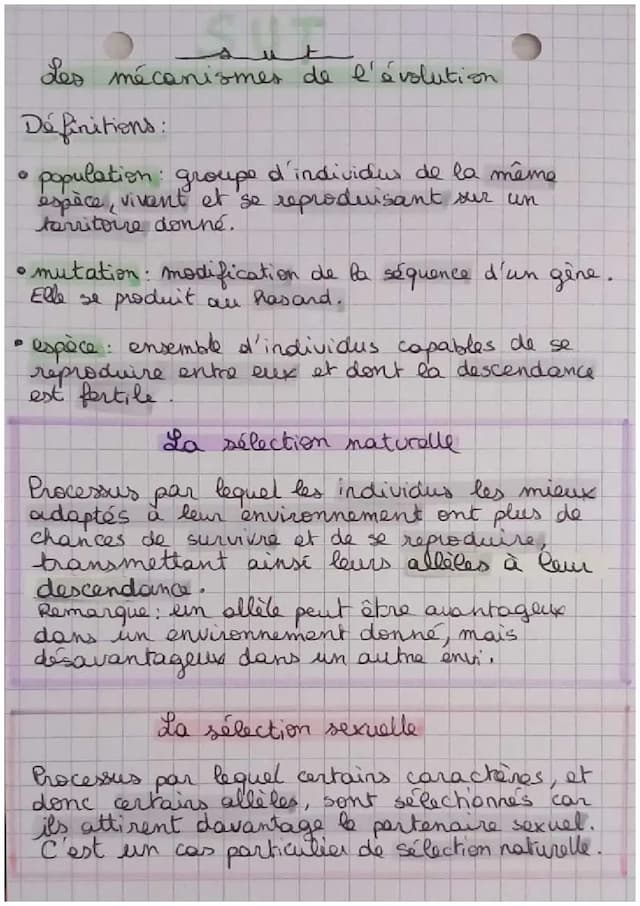 Know Les mécanismes de l'évolution  thumbnail