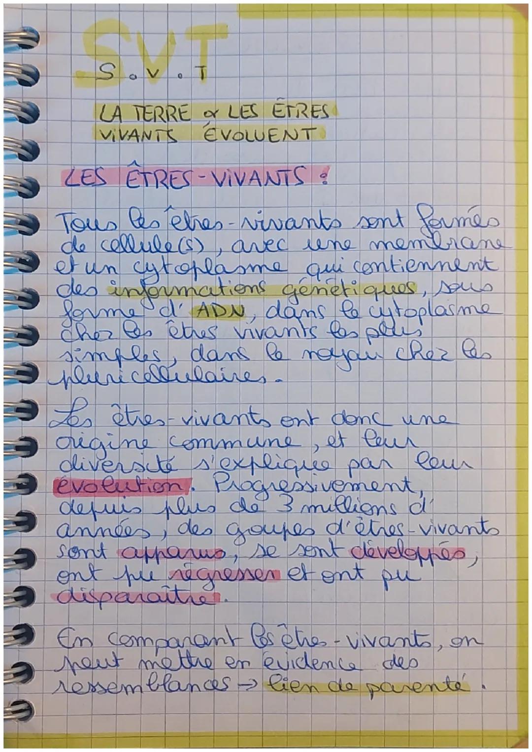 # SVT

LA TERRE & LES ETRES
VIVANTS ÉVOLUENT

LES ÊTRES-VIVANTS:

Tous les étres-vivants sont fermés
de cellule(s), avec une membrane
et un 