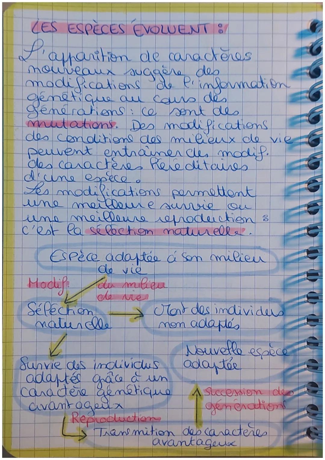 # SVT

LA TERRE & LES ETRES
VIVANTS ÉVOLUENT

LES ÊTRES-VIVANTS:

Tous les étres-vivants sont fermés
de cellule(s), avec une membrane
et un 