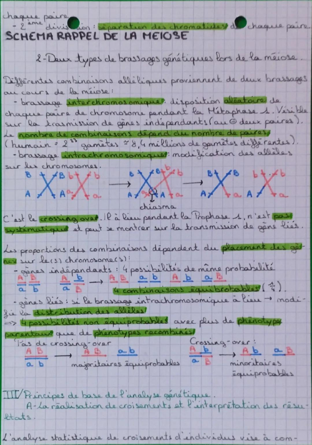 # SVT

# L'ORIGINE DU GÉNOTYPE DES INDIVIDUS.

## I/ Stabilité génétique et évolution clonale.

mitose → clone cellulaire
(cellule mère)    