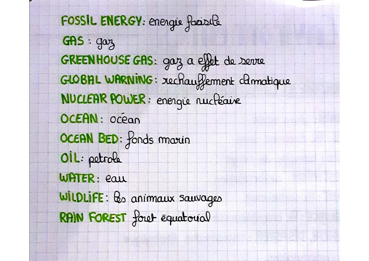 Environnement
VOCABULAIRE
METEROLOGIE ET CATASTROPHES NATURELLES:
ACID RAIN: pluie acide
Oil spill: la mar ée noire
BlizzARD: tempêle de nei