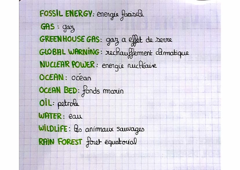 Environnement
VOCABULAIRE
METEROLOGIE ET CATASTROPHES NATURELLES:
ACID RAIN: pluie acide
Oil spill: la mar ée noire
BlizzARD: tempêle de nei