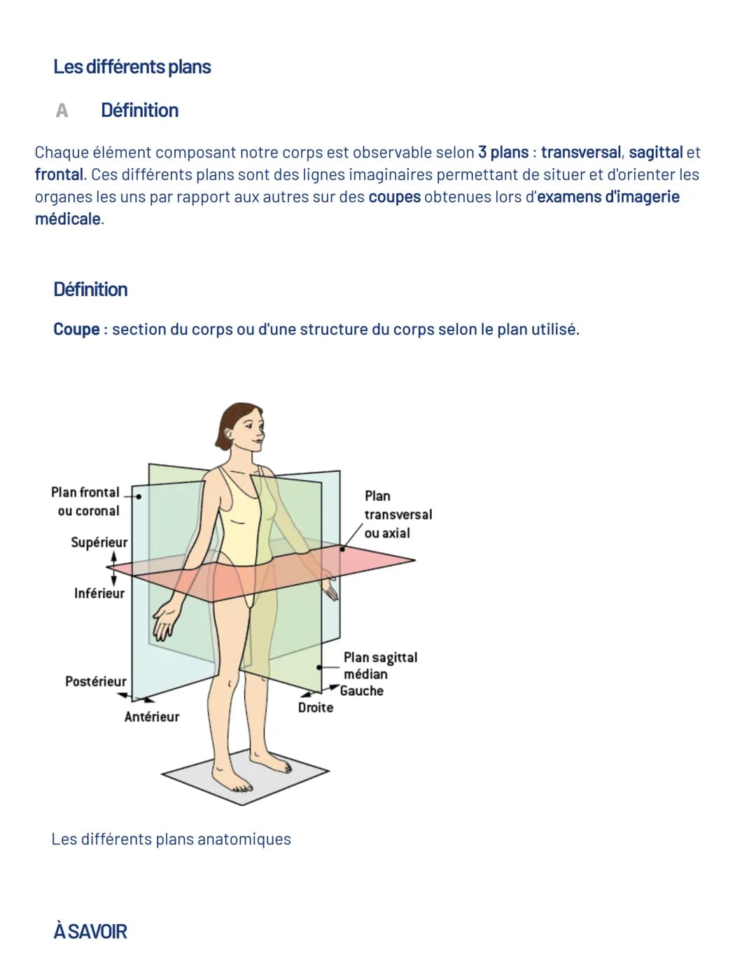 Les différents niveaux du corps humain
■Le niveau le plus simple est le niveau chimique, où l'on trouve les atomes qui se combinent
pour for